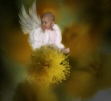 The Wattle Flower Angel by StarKatz