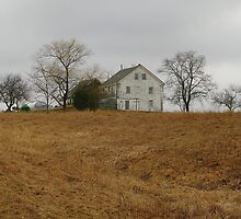 Where's Christina by Patty Gross