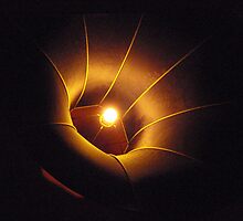Light by Hans Bax