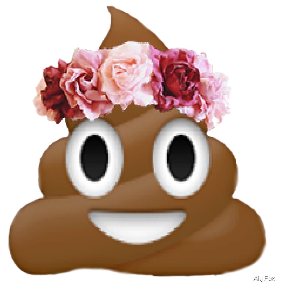 Flower Crown Poop Emoji Hipster Tumblr By Alyciathefox Redbubble