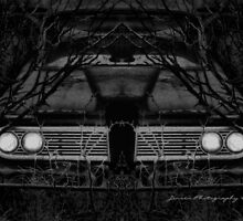 Engulfed By Nature ( Black & White ) by Carla Jensen