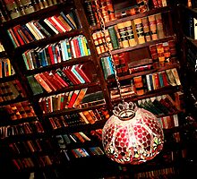 The Library by Emily Higginbotham