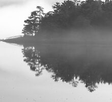 Maine point engulfed in fog by Patty Gross