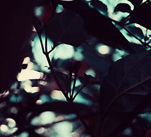 A Perfect Place by ghastly
