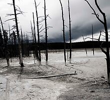 Desolate Landscape by Alison Simpson