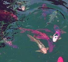 FISH POND by Paul Quixote Alleyne