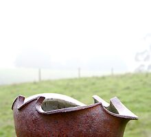 A Vellu Pot In A Landscape/View 5 by Vellu
