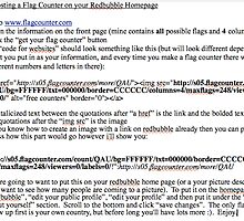 Steps To Posting a Flag Counter on your Redbubble Homepage by LeighAth