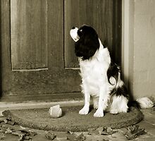 Where are you master? by gary A. trounson