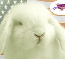 Snowstar for President by rommel