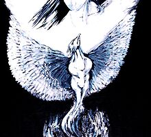 Phoenix Rising by whittyart