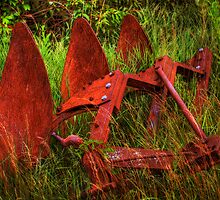Old Plow, Engulfed by Delany Dean