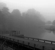Lonely bench on misty pier by steppeland