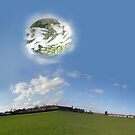 Planetoids by Robert Burton