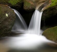 Mineral Creek by Forrest Tainio