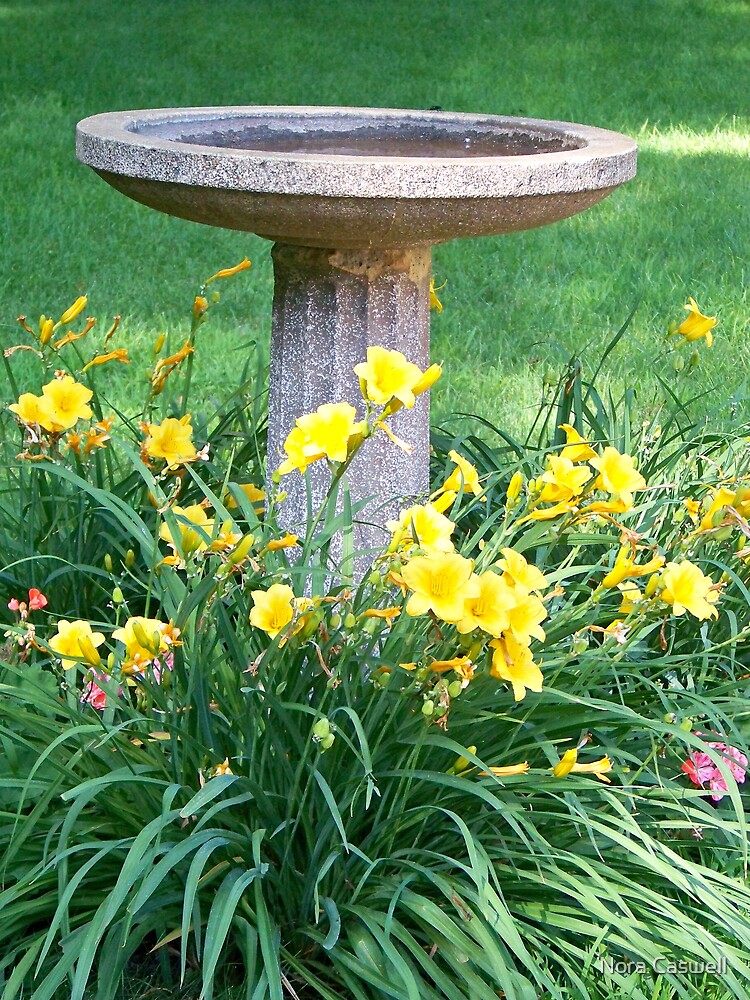 bird-bath-and-flowers-by-nora-caswell-redbubble