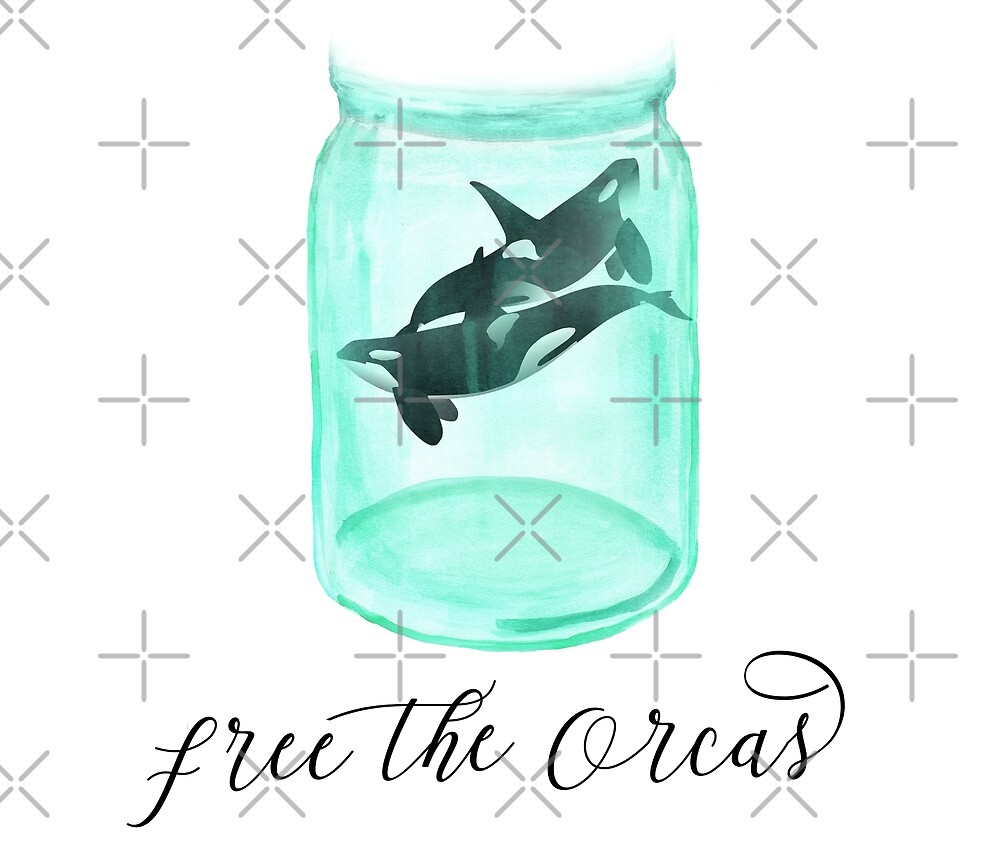 Free The Orcas Empty The Tanks End Captivity For Killer Whales By