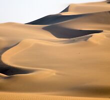 Laurence, where are you? by Andrew Howson