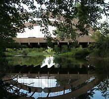 Bridge Reflection by linmarie