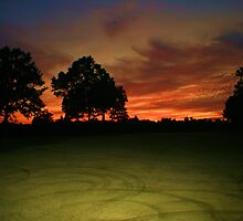 Circular Sunrise by Polly Peacock