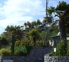 anaisnais favourites from 2009 by A-M Docherty by anaisnais