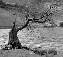 Not Dead Yet (mono) by Ian Ker