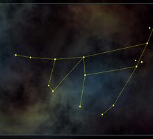 Capricorn zodiac by 4Seasons
