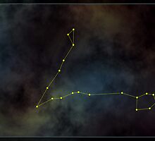 Pisces zodiac by 4Seasons
