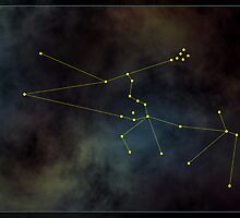 Taurus zodiac by 4Seasons