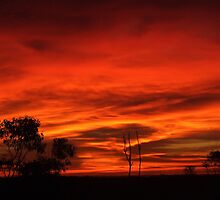 "Embers in the Sky" by debsphotos