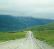 The Dalton Highway by Dandelion Dilluvio