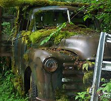 Retired....In Gates Oregon by trueblvr