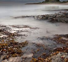 Din Guaroy by SteveMG