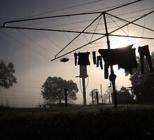 Washing. by smcgr