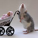 A real babysitter :) by Ellen van Deelen