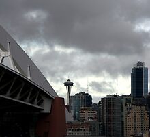 Qwest View by starlitewonder