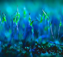 ...blues in green... by Geoffrey Dunn
