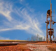 The Country Railroad Crossing by Buckwhite