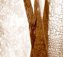Contrasts! by Isa Rodriguez