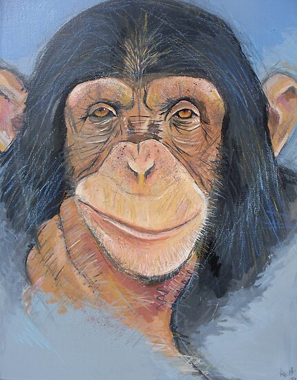 chimp andy