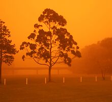 Australian dust storm by sunset