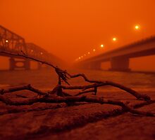 Tom Uglys and the Captain Cook bridges by David Petranker