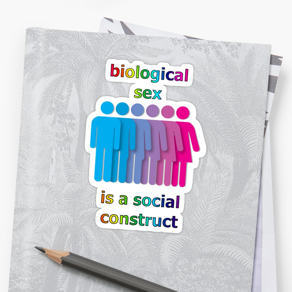 Biological Sex Is A Social Construct Stickers By Stormycloud Redbubble