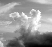 Double U by jweekley