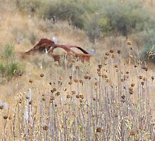 Burnt Out by RebeccaWeston