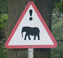 Warning - Elephant Crossing by groovygreen
