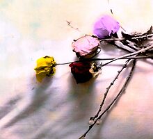 A Tribute To My Grandparents by beresfordphotos