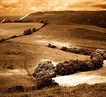 Defined By Light by Nigel Finn