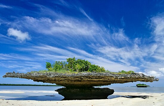 Aldabra Atoll Seychelles