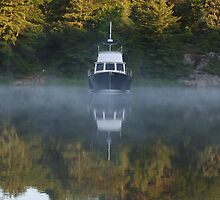 The Mist by Lynn Gibbons